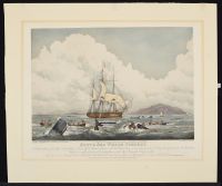 South Sea Whale Fishery