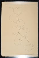 Ellsworth Kelly litho.