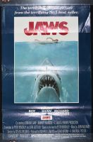 Jaws