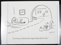 Congressional District Line