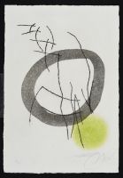 Joan Miro Circle