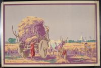 A Paddy Field In Burmah