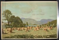 Scottish Oat Harvest