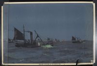 Herring Drifters In The North Sea