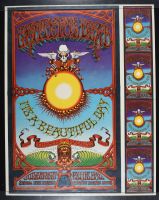 Grateful Dead Hawaii