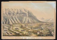 Battle Of Buena Vista