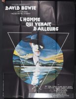 The Man Who Fell To Earth