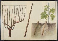 Chinese Poster Suite