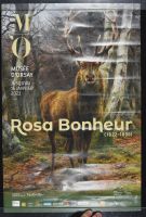 Rosa Bonheur