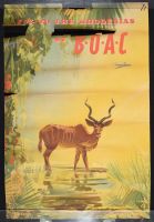 Fly To The Rhodesias