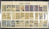 Rank And Badges