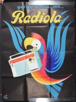 Radiola Parrot