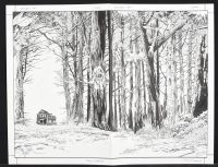 Original Comic Book Art