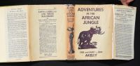 Adventures In The African Jungle
