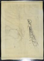 Alexander Looked At Him