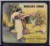 Wheelers Choice