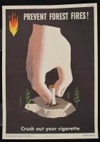 Prevent Forest Fires