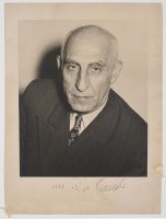 Mohammed Mossedegh - Progress, humidified, flattened, structural reinforcement (Poster)